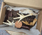 18 Piece Natural Treat Box