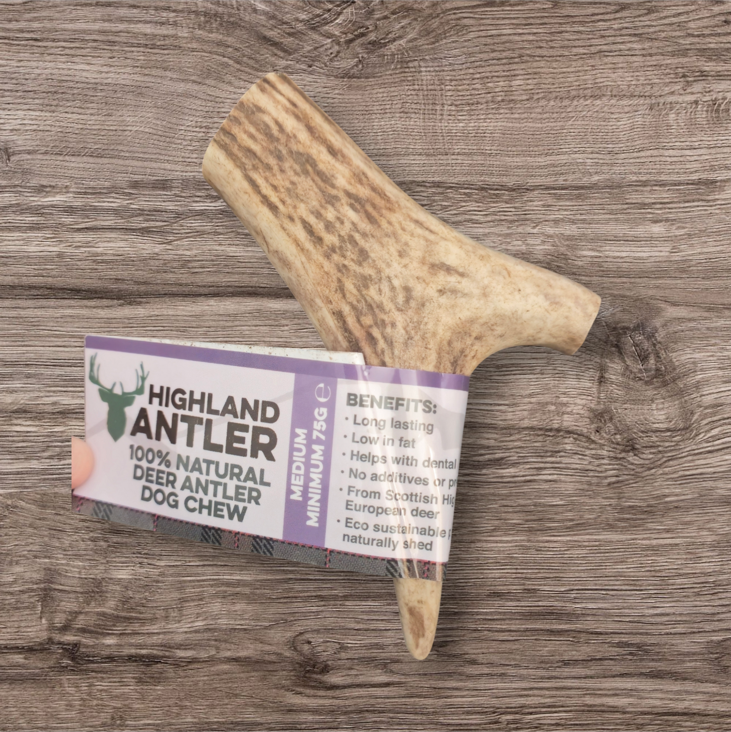 Highland Antler Medium