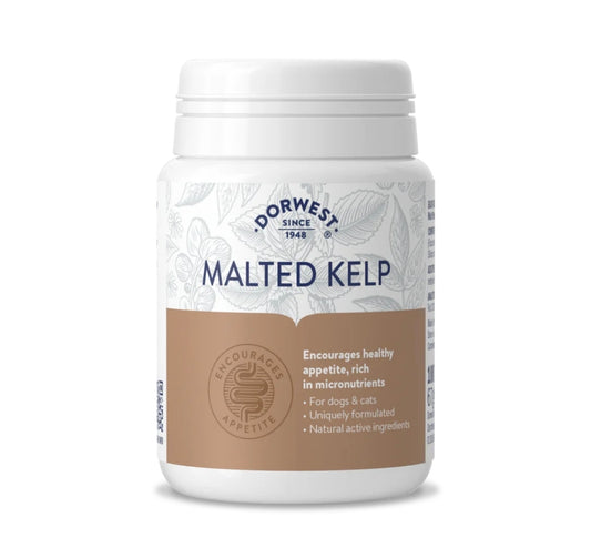 Dorwest Malted Kelp 100 Tablets