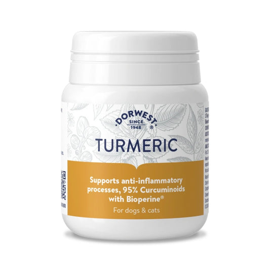 Dorwest Tumeric 100 Tablets