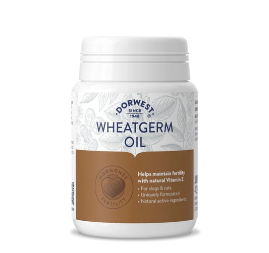 Dorwest Wheatgerm Oil 100 Capsules