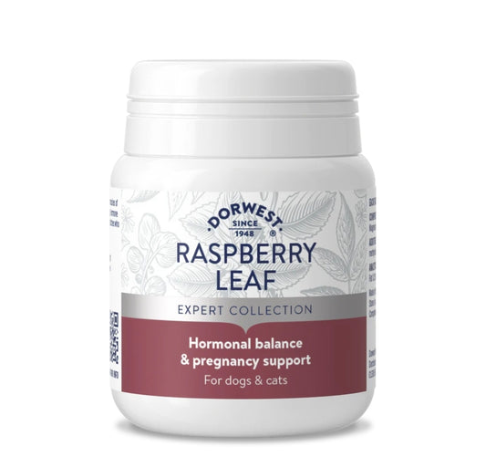 Dorwest Raspberry Leaf 100 Tablets